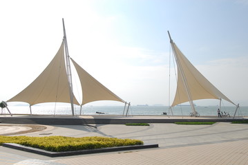 为什么移动硬盘不显示