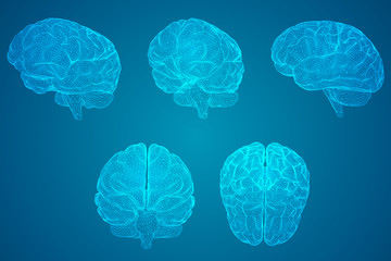 螳螂寓意是好还是不好