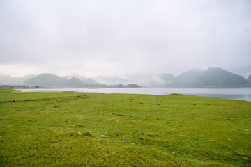 螳螂寓意是好还是不好