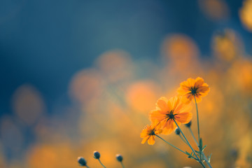 我怕来不及 我要抱着你后面一句是怎么说的