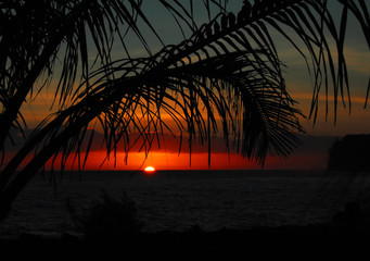 遥遥领先的造句