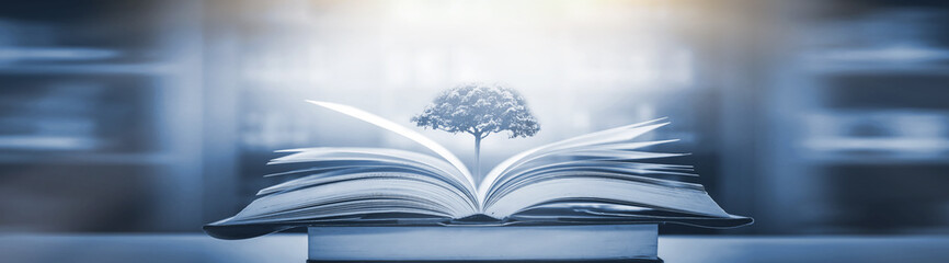 文明交通安全出行手抄报内容