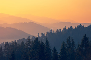 为什么主流的数码产品的默认颜色全是黑的-
