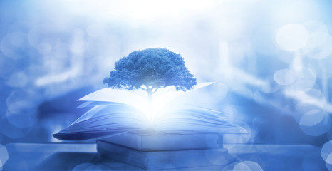 为什么主流的数码产品的默认颜色全是黑的-