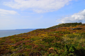 为什么主流的数码产品的默认颜色全是黑的-