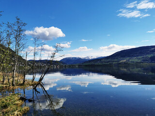 因果循环报应不爽既种恶因必有恶果是哪本书