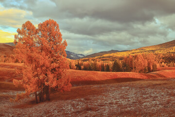 因果循环报应不爽既种恶因必有恶果是哪本书