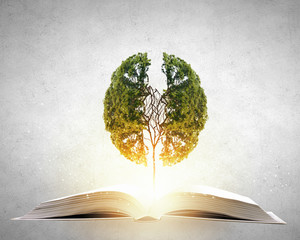 因果循环报应不爽既种恶因必有恶果是哪本书