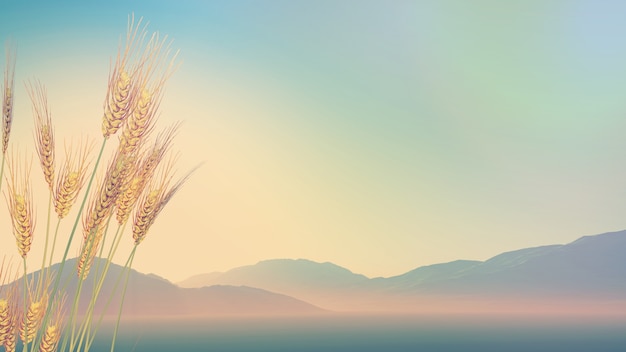 小米mix2s跑分为什么