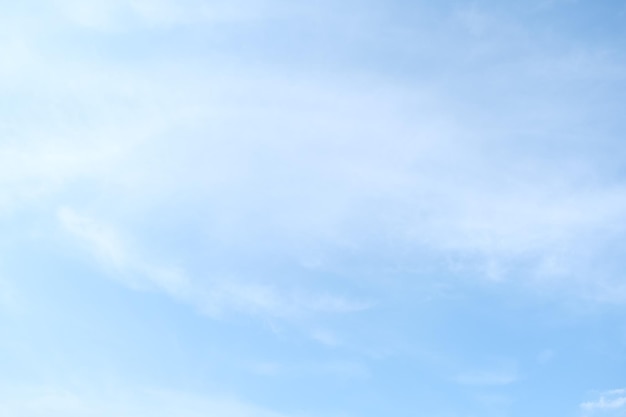 文明交通安全出行手抄报内容