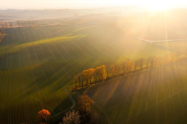 因果循环报应不爽既种恶因必有恶果是哪本书
