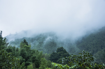 我怕来不及 我要抱着你后面一句是怎么说的
